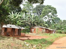 Buvette de Nkolbembe Zambe