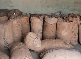 Magasin de stockage de soja et d'acajou