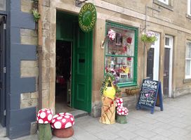 Droopy Dandelion - The Scottish Fairy Shop