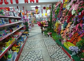 CHINA SHOP ROMANIA