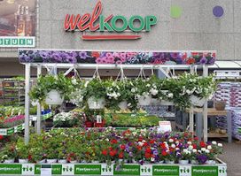 Welkoop Zutphen