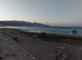 عصلة