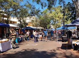 Todd Mall Markets