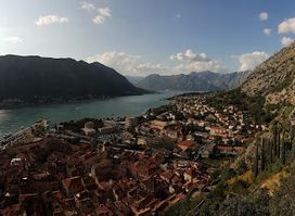 Cats Of Kotor