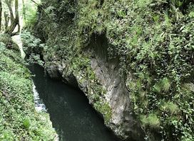 Cheile Carașului