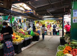 El Agro