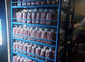 TOP SWEET BREAD LTD