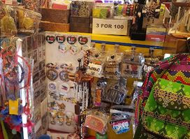 The Souvenir Shop