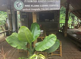 กาแฟสด แม่กลางหลวง