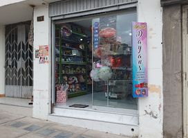 Dayan's Store