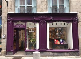Passage du Désir, l'anti sex shop