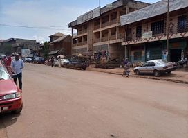 Marché de Mangoum