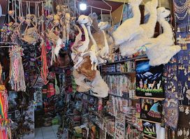 Mercado Modelo Yungas