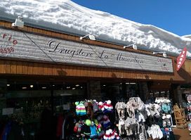 Drugstore la musardière