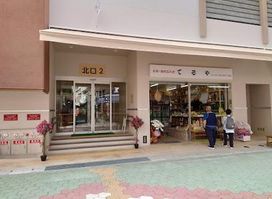 Makishi Public Market