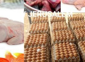 NEW JERUSALEM FROZEN FOODS.