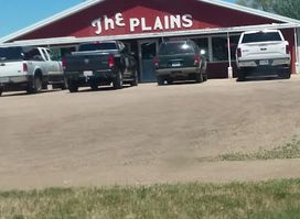 The Plains LLC