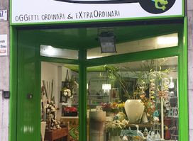 Rapa Nuji Di Del Campo Elisa