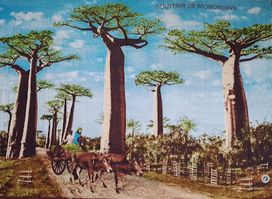 Chez mourtaza