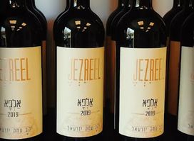Jezreel Valley Winery
