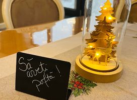 Cafe&Bar AlexOlar