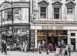 Urban Fox