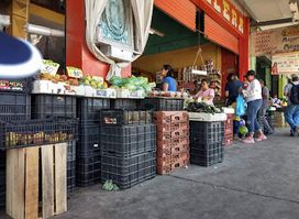Mercado de Abastos de la Laguna