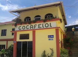 COCAFELOL