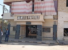 Hamees Papyrus
