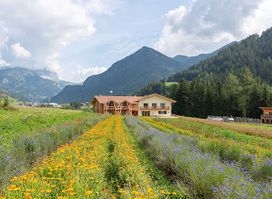 Fiores Eco-Green Agriturismo e Azienda Agricola Biologica