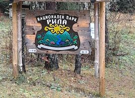 Резерват Парангалица