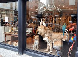 the Museumwinkel.com