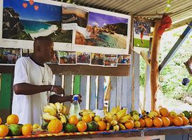 Simon’s Fruit Shop