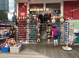Toronto Best Souvenirs