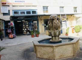 Andros Supermarket