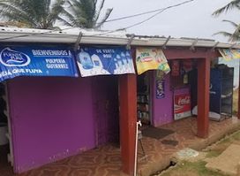 Cariana's Store