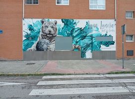 Estudio Graffiti - Pintura Mural Profesional