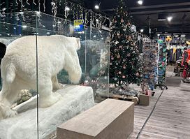 Tourist Shop, Tromsø