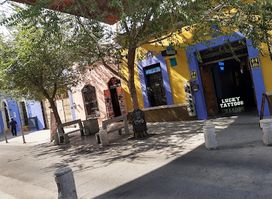 The Vintage Store mx
