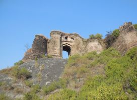 Pharwala Fort