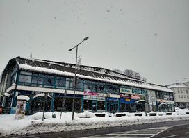 Družba