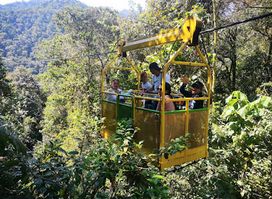 Mindoxtrem birds Operador turistico