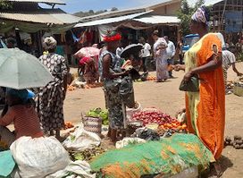 Bubu meda open market