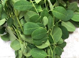 Selling of organic herbs &Seeds