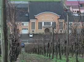 Domaines Vinsmoselle - Caves des Vignerons Wellenstein