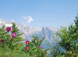 Theth National Park