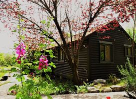 Countryside Guesthouse