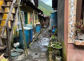 Local market