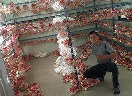 ຮ້ານຂອບຳຣະນະຄອນຫລວງ