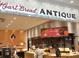 ANTIQUE 福岡ももち店